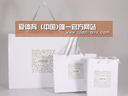 项目名称十一