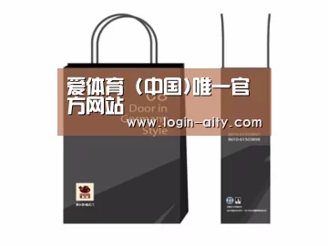 项目名称十四