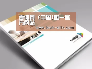 项目名称九