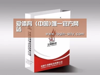 项目名称十三
